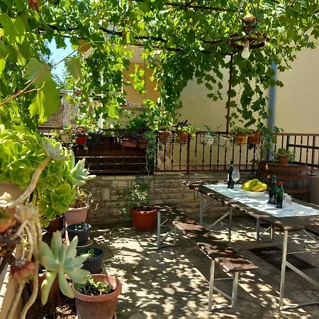 Apartment Oli