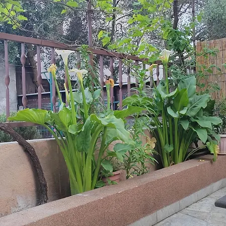 Apartament Oli Zadar